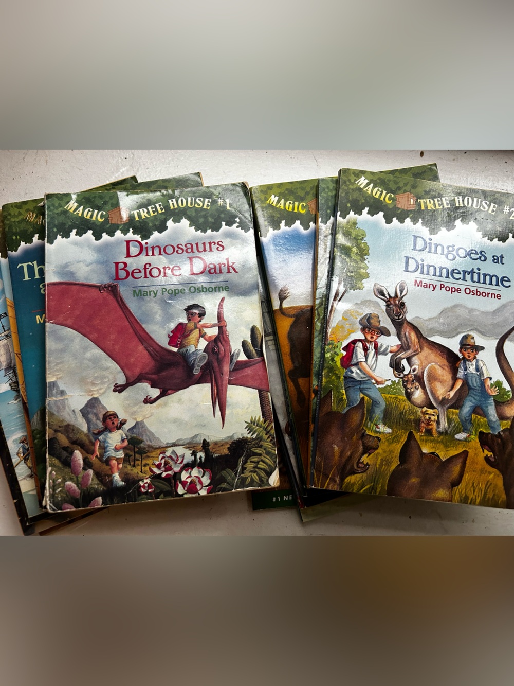 Magic Tree House set of 15 books Mary Pope Osborne (Book series 1-20 missing 5)